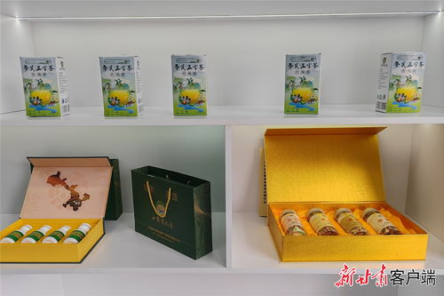 质量溯源 让渭源道地中药材“身份”明明白白