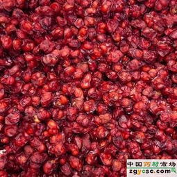 天马安徽中药饮片科技 中成药供应与创新